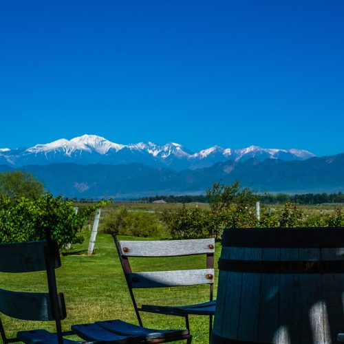 Vineyard Landscape with Tupungato Vulcan and Andes on the Background